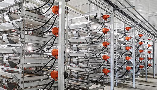 山东潍坊现代食品（360万蛋鸡）全产业链